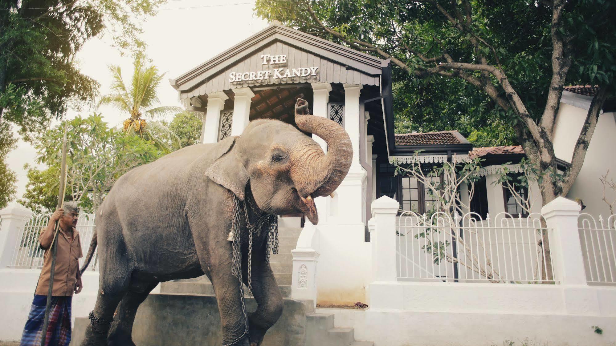 The Secret Kandy Ngoại thất bức ảnh